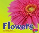Vijaya Bodach, Vijaya Khisty Bodach - Flowers
