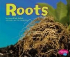 Vijaya Bodach - Roots