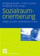 Budd, Wolfgang Budde, Früchte, Fran Früchtel, Frank Früchtel, Hinte... - Sozialraumorientierung