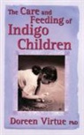 Doreen Virtue - The Care and Feeding of Indigo Children