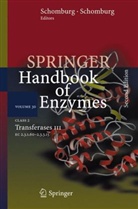 Dietmar Schomburg, Ida Schomburg - Springer Handbook of Enzymes - Vol.30: Class 2 Transferases III