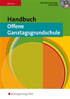 Birgit Mescher - Handbuch offene Ganztagsgrundschule, m. CD-ROM