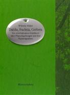 Wilhelm Müller - Dahlia, Fuchsia, Gerbera