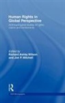Jon P. Mitchell Mitchell, Jon P. Wilson Mitchell, Richard Wilson, Richard A. Mitchell Wilson, Richard Ashby Mitchell Wilson, Jon P Mitchell... - Human Rights in Global Perspective