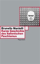 Brunello Mantelli - Kurze Geschichte des italienischen Faschismus