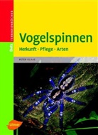 Peter Klaas - Vogelspinnen im Terrarium