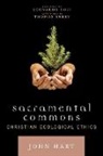 Thomas Berry, Thomas Boff Berry, Berry Thomas, Leonardo Boff, John Hart, John Boff Hart - Sacramental Commons