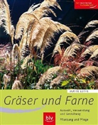 Ulrike Leyhe - Gräser und Farne
