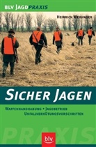 Heinrich Weidinger - Sicher Jagen