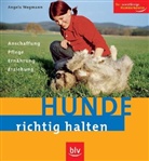 Angela Wegmann - Hunde richtig halten