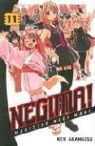 Ken Akamatsu, T. LeDoux - Negima!
