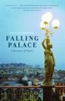 Dan Hofstadter - Falling Palace