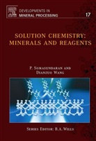 P. Somasundaran, P. (Columbia University Somasundaran, P. Wang Somasundaran, Somasundaran P., Dianzuo Wang, Dianzuo (Chinese Academy of Engineering Wang... - Solution Chemistry