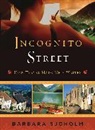 Barbara Sjoholm - Incognito Street