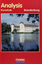 Mathematik. Sekundarstufe 2: Analysis, Kursstufe