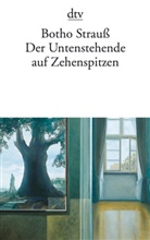 Botho Strauß - Der Untenstehende auf Zehenspitzen