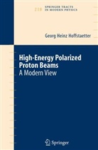 Georg H. Hoffstaetter, Georg Heinz Hoffstaetter - High Energy Polarized Proton Beams
