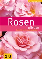Silke Kluth - Rosen pflegen