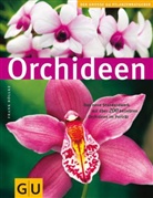 Frank Röllke - Orchideen