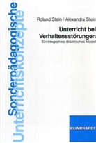 Auer, Stei, Alexandra Stein, Roland Stein - Unterricht bei Verhaltensstörungen