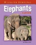 Helen Orme - Elephants in Danger