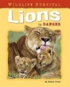 Helen Orme - Lions in Danger