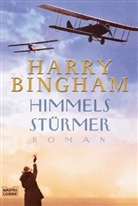 Harry Bingham - Himmelsstürmer