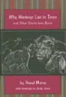 Raouf Mama, Raouf/ Jones Mama, Andy Jones - Why Monkeys Live in Trees And Other Stories from Benin