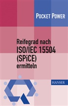 Walter Dürr, Karl W. Wagner, Karl Werne Wagner, Karl Werner Wagner - Reifegrad nach ISO/IEC 15504 (SPiCE) ermitteln