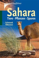 Elkharassi, Hocine Elkharassi, Schatane, Veren Schatanek, Verena Schatanek - Sahara