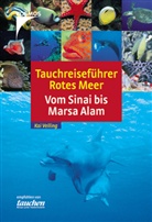 Kai Velling - Tauchreiseführer Rotes Meer