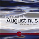 Augustinus, Aurelius Augustinus, Aurelius Augustinus, Hanns Zischler - Vom Wesen des Guten, 1 Audio-CD (Audiolibro)