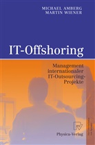 Michae Amberg, Michael Amberg, Martin Wiener - IT-Offshoring