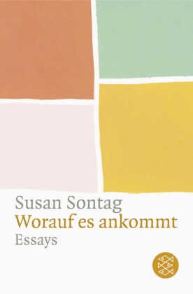 Susan Sontag - Worauf es ankommt Essays
