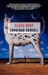 Jonathan Carroll - Class Soup
