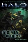 Eric Nylund, Eric S. Nylund - Halo. Ghosts of Onyx