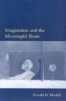 Arnold H Modell, Arnold H. Modell, Andrew (Keele University) Dobson - Imagination and the Meaningful Brain