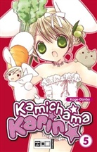 Koge-Donbo - Kamichama Karin. Bd.5