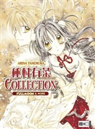 Arina Tanemura - Collection