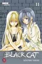 Kentaro Yabuki - Black Cat. Bd.11