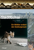 Fabi Bontadina, Fabio Bontadina, Sandr Gloor, Sandra Gloor, Daniel Hegglin - Stadtfüchse