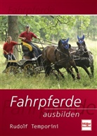 Rudolf Temporini - Fahrpferde ausbilden