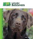 Nikki Moustaki - Labrador Retrievers