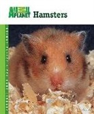 Sue Fox - Hamsters
