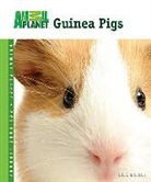 Julie Mancini, Julie Rach Mancini - Guinea Pigs