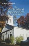 Amanda Porterfield - The Protestant Experience in America