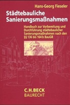 Hans-Georg Fieseler, Hans-Georg Fiesler - Städtebauliche Sanierungsmaßnahmen