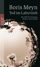 Boris Meyn - Tod im Labyrinth