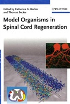 Catherina G. Becker, Thomas Becker - Model Organisms in Central Nervous System Regeneration