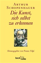 Arthur Schopenhauer, Franc Volpi, Franco Volpi - Die Kunst, sich selbst zu erkennen